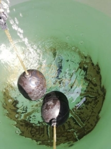 lavado y desinfección de tinacos